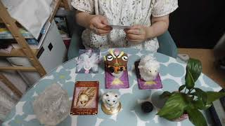 相手の思いと自分の思い　☆お悩み相談室☆スピリチュアルカウンセリング☆占いオラクルカード・ヒーリング野田市柏市松戸千葉