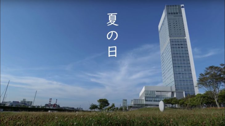 『夏の日』お散歩×マインドフルネス