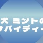 神社参拝 #朝活 #マインドフルネス #瞑想リトリート