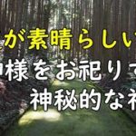 苔の絨毯とスピリチュアル、パワースポットは龍神春日神社と龍神