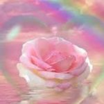 慈悲の瞑想　マインドフルネス