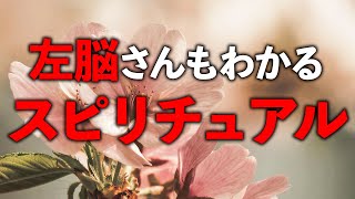 【次元上昇】スピリチュアル理解で成長が加速する【億楽ライフwith小熊弥生】