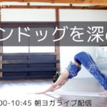 yoga journey ライブ配信！7/3(土)9:00-10:00【朝ヨガ】