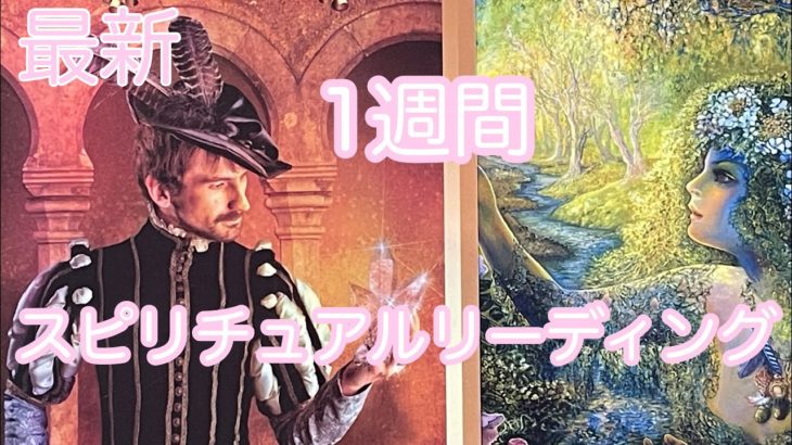 最新💕1週間スピリチュアルリーディング🌈
