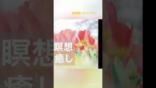 最高の癒し　瞑想　リラックスチャンネルのご紹介　1分　ロングバージョンあります✨