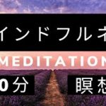 マインドフルネス　メディテーション　10分　瞑想　マインドフルネス瞑想　ナミバーデン　心の授業　コンシャスリーダーシップアカデミー