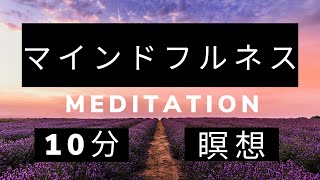 マインドフルネス　メディテーション　10分　瞑想　マインドフルネス瞑想　ナミバーデン　心の授業　コンシャスリーダーシップアカデミー