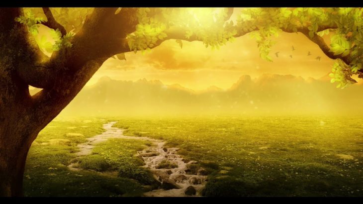 【瞑想用】エデンと癒しの10分間