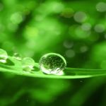 リラックス音楽【100% 広告 なし 自律 神経 整える 音楽】深い睡眠へ誘う睡眠導入音楽　癒しの音楽を聴いてぐっすりと熟睡する　心身の休息と疲労回復、ストレス解消…