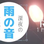 癒やしの環境音【 小雨×夜×睡眠 】 環境音 1時間用【リラックスできる睡眠用サウンド】relax sound