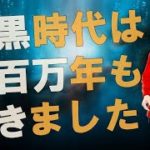 【衝撃】体の中に押し込められた感覚を覚えていますか？ダンシングドルフィンからのメッセージがヤバすぎる！！2【スピリチュアル】