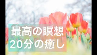 最高の瞑想20分　脳のリフレッシュ　癒しの20分　ヨガ