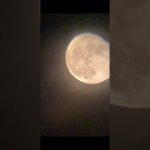 🌖 2021/08/25 ・月・癒し・浄化・ヒーリング・瞑想・マインドフルネス・寝付き・寝落ち・等に