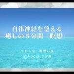 自律神経を整える　癒しの５分間『瞑想』【池と水草2108】