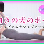 上向きの犬のポーズのやり方と効果【ヨガ】#246