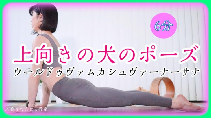 上向きの犬のポーズのやり方と効果【ヨガ】#246