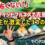 【体験談】恐怖克服！人生を変えた3つ|マインドフルネス瞑想塾