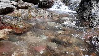 【睡眠用・癒し】おだやかなせせらぎと、ヒグラシの鳴き声　4