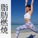 【脂肪を落とす】 ダイエットフローヨガ☆ 体の内側から代謝を高めよう！ #403