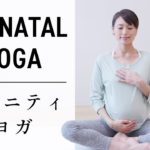 【ウォームアップ】 妊婦さん・ヨガ初心者・身体が硬い方におすすめ #473