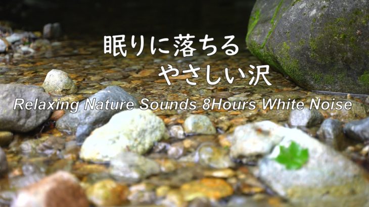 【自然の音 睡眠 4K】せせらぎ音からリラックス8時間/瞑想/癒し/勉強用BGM/meditation /ASMR/Natural sound/Sound of water