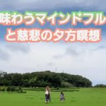 【5分瞑想】④今を味わうマインドフルネスと慈悲の夕方瞑想