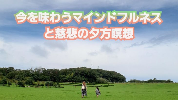 【5分瞑想】④今を味わうマインドフルネスと慈悲の夕方瞑想