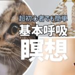 気分爽快、頭すっきり！超初心者向けマインドフルネス呼吸瞑想　5分