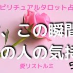 [スピリチュアルタロット占い]🔮今、この瞬間のあの人の気持ち💗👫5択～✨