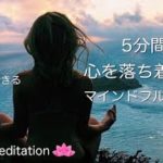 【誘導瞑想】誰でもどこででもできる✨5分間の心を落ち着かせるマインドフルネス瞑想