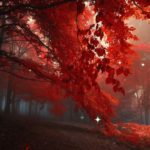 しっとりとした癒しの睡眠導入音楽｜眠りを助けるヒーリングミュージックでリラックス｜ソルフェジオ周波数528Hz｜安眠 熟睡