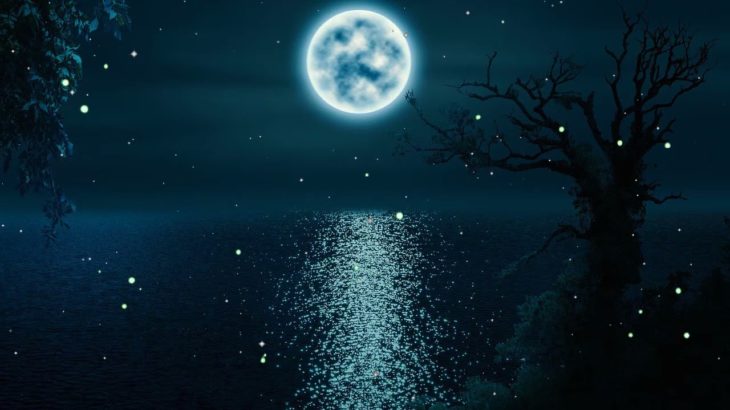 【528Hz・睡眠・癒し】癒やされる瞑想音楽とソルフェジオ周波数で日々の疲れ、ストレスを緩和しながら濃縮した深い睡眠の時間へ…長時間の睡眠導入音楽