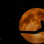 【528Hz・睡眠力・癒やし】スッと眠れる睡眠導入剤…ソルフェジオ周波数が全身に広がり、疲れた心と身体を修復しながら深い眠りの世界へ…