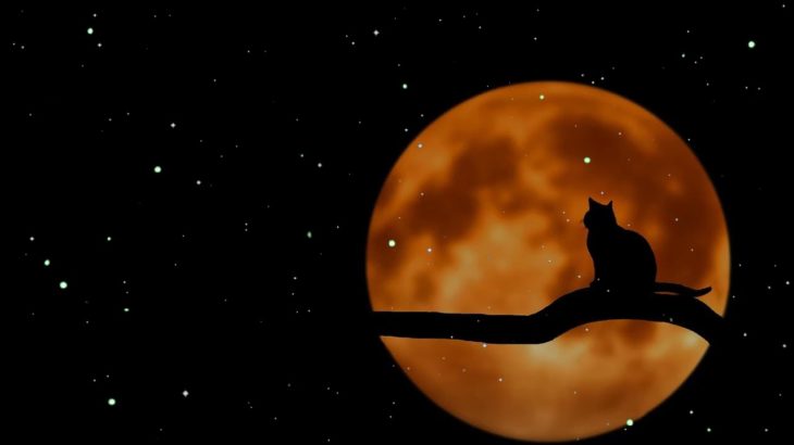 【528Hz・睡眠力・癒やし】スッと眠れる睡眠導入剤…ソルフェジオ周波数が全身に広がり、疲れた心と身体を修復しながら深い眠りの世界へ…