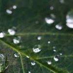 【528Hz・癒し・睡眠】 聴きながら眠れる… 壊れたDNA、 細胞を修復する周波数と優しく癒す 瞑想音楽で眠りの質を向上