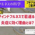 【6分解説】マインドフルネスが炎症に効く理由とは？|マインドフルネスの科学
