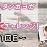 アシュタンガヨガ7回チャレンジ　～1回目：アシュタンガのはじめ、太陽礼拝A＆Bを一緒に練習していこう～　講師：sebastian先生★