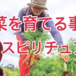 野菜を育てる事はスピリチュアル♯73