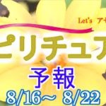 エネルギーに敏感な人のための週間スピリチュアルエネルギー予報8/16(月)～8/22(日)