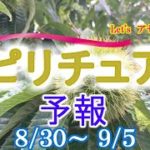 エネルギーに敏感な人のための週間スピリチュアルエネルギー予報8/30(月)～9/5(日)