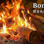 焚き火の音でくつろぎのひととき【睡眠用・癒し・ASMR】焚き火動画で心地良い眠り・・・