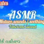 ASMR＋okinawa 30minutes /竹富島コンドイビーチ/ Taketomi island Kondoi beach / 癒し、作業、睡眠BGM / 30分 沖縄民謡・三線・波の音・自然音