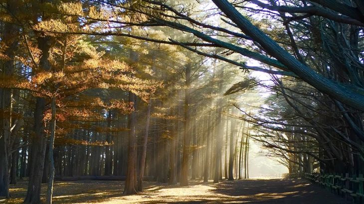 【癒し音楽BGM】流れる水の音でリラックスできるピアノ瞑想音楽 • リラックス、睡眠、マッサージ、ヨガ、瞑想 – 水の音でリラックス、脳、創造力を刺激、心に良い