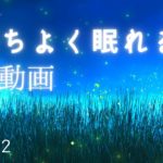 気持ちよく眠るための癒しのヒーリングミュージック　ねむりに導く周波数入り睡眠用BGM 　リラックスと疲労回復＃772｜デルタ波による睡眠導入効果｜SilentSpaceTV