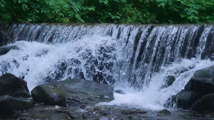 【和風BGM】心温まる、和の癒し音楽【作業用・睡眠用BGM】