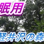 【睡眠導入用１０分】セミ・野鳥の声「癒しのBGM」　IN　軽井沢
