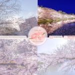 Japanese Sakura Relaxation Photos EP232 | Relaxing Music • 美しいリラックスミュージック • ヨガ瞑想リラクゼーション • 美しい音色 ピアノ