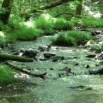 【心地よいせせらぎの音】御嶽山麓・４K自然映像、癒し、睡眠、瞑想、耳鳴り解消、勉強、リラックス、リラクゼーション、ヒーリング、スピリチュアル、ストレス解消、作業に集中、仕事に集中