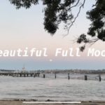 【MOON YOGA】満月を迎えるヨガ 【13分】with Rising Moon 🌕 on the Beach ゆったりヨガ in オーストラリア