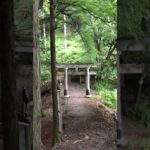 関東屈指のスピリチュアルパワースポット「三峯神社」奥宮 Mitsumine Shrine #Shorts